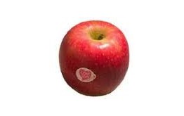 POMME PINK LADY