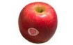POMME PINK LADY