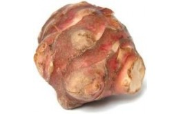 TOPINAMBOURG