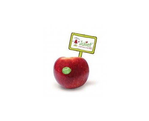 Pomme Juliet bio