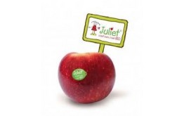 POMME JULIET BIO