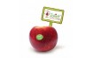 POMME JULIET BIO