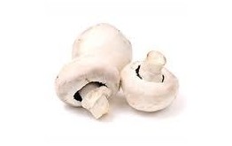 Champignon blanc