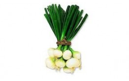 OIGNON FRAIS