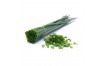 Herbe aromatique Ciboulette