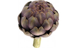 ARTICHAUT VIOLET