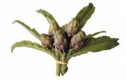 ARTICHAUT BOUQUET