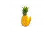 ANANAS VICTORIA AVION