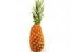 Ananas pain de sucre