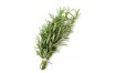 Herbe aromatique Romarin