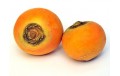 NAVET BOULE D'OR HVE