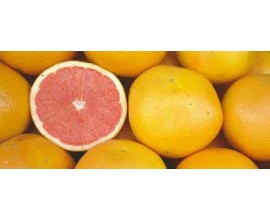 Pamplemousse Corse