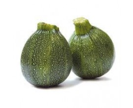 courgette