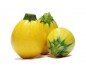 courgette