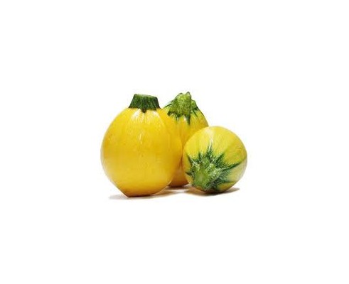 courgette