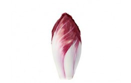 Endive Rouge