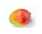mangue