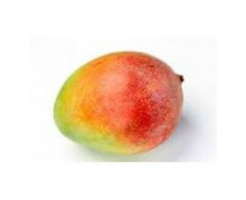 mangue