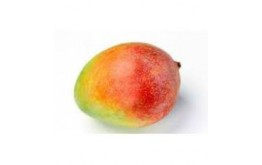 MANGUE BATEAU