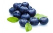 MYRTILLE 125G