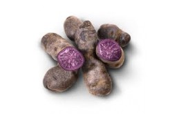 POMME DE TERRE VITELOTTE