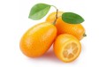 KUMQUAT