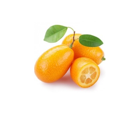 kumquat