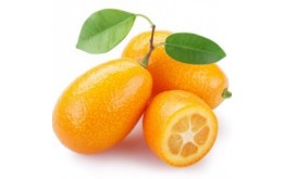 Kumquat