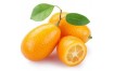 KUMQUAT