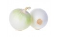 OIGNON BLANC