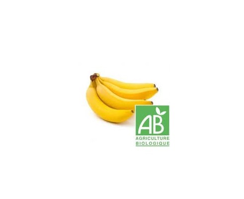 banane bio