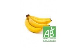 Banane bio