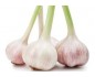 ail
