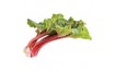 Rhubarbe
