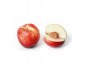 nectarine