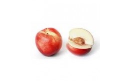 NECTARINE BLANCHE IMPORT