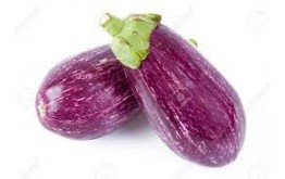 AUBERGINE ARLEQUIN