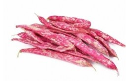 Haricot Coco rouge