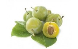 Prune Reine Claude