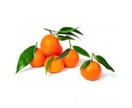 Clémentine corse