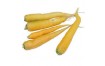 Carotte Jaune