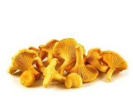 Girolle