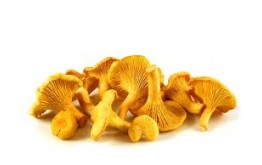 Champignon girolles