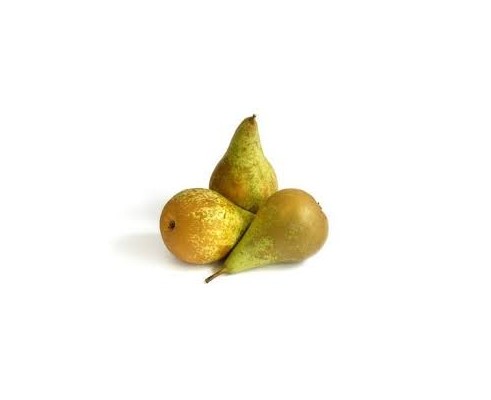 Poire Conférence
