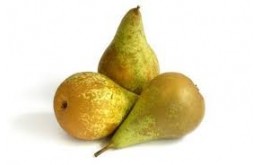 Poire Conférence