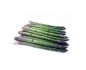 Asperge verte cal.16/22