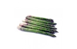 Asperge verte 16/22