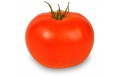 Tomate grosse