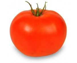 Tomate à farcir