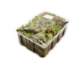 Salade Mesclun 500g